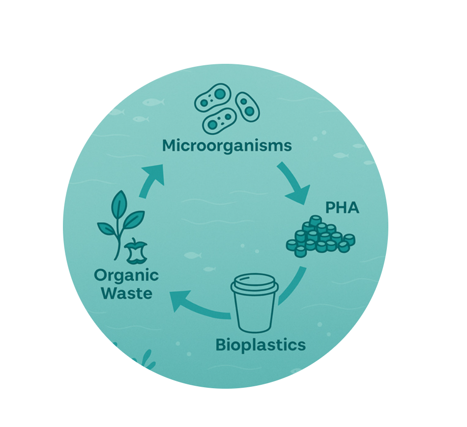 RecyLoop Leaves Its Mark at the Prestigious 11th Sustainable Nutrition Summit – PHA-Based CoraLoop, at the Heart of a Green Nobel–Winning Project